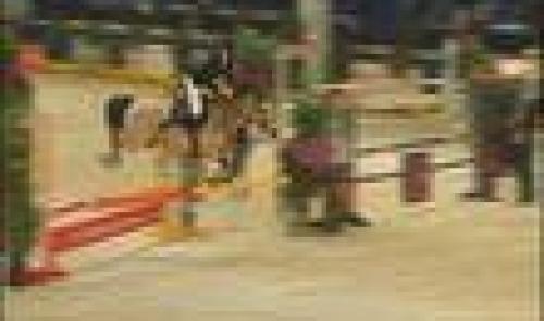Jumping de Liège : au galop !